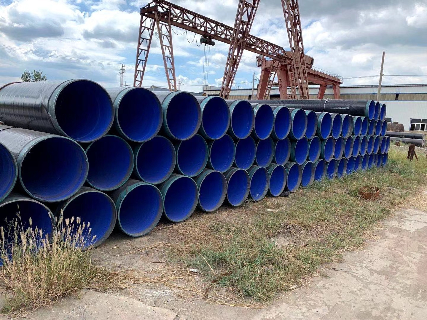 TPEP�����ֹ�